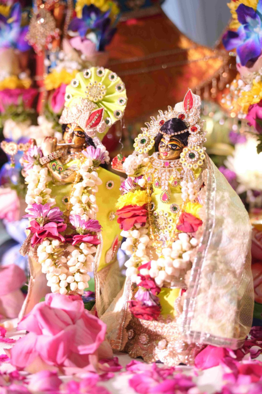 Flower Decoration